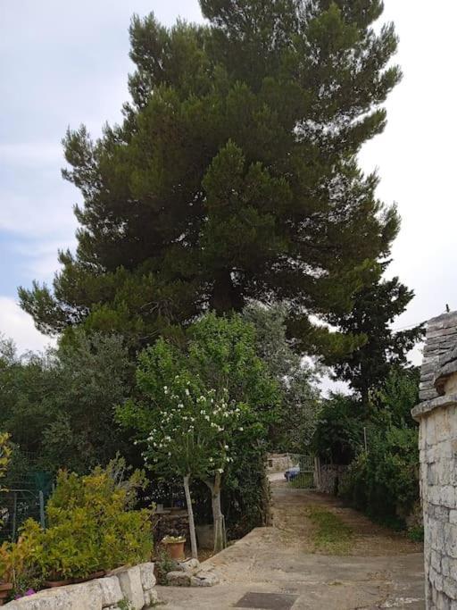 Gasphouse Villa Castellana Grotte Luaran gambar