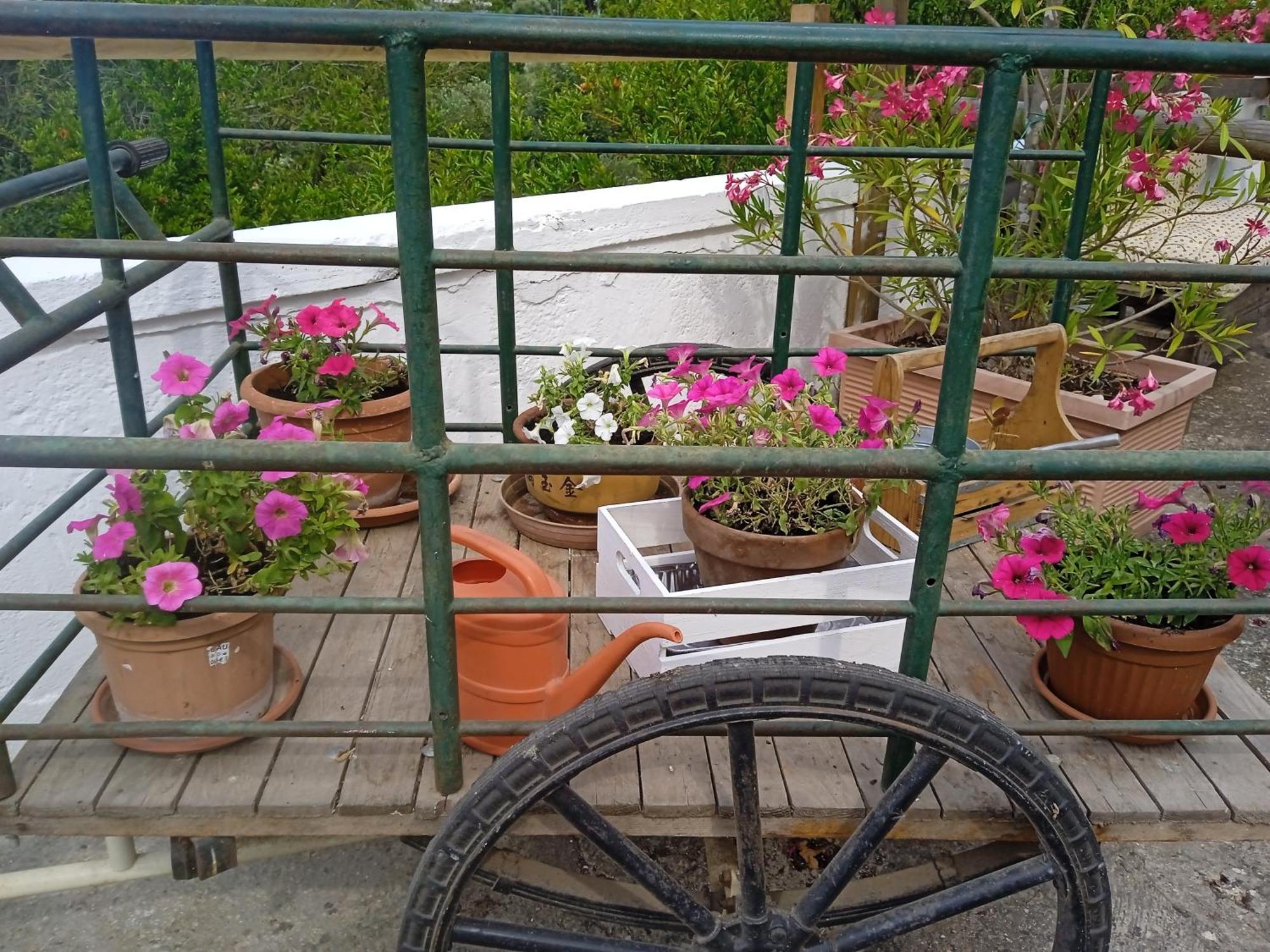 Gasphouse Villa Castellana Grotte Luaran gambar